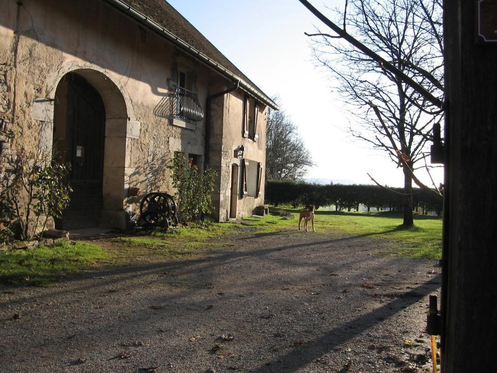 Chez Robert Et Catherine Dompierre-sur-Mont Rom bilde